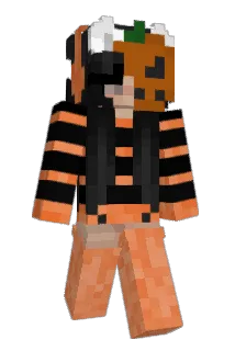 Ananasiice Minecraft avatar full body
