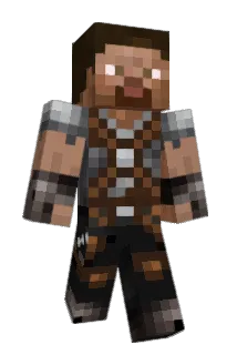 Ananaskoira Minecraft avatar full body