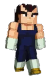 Ancira Minecraft avatar full body
