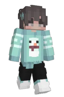 AnderssonNN Minecraft avatar full body
