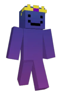 Andipirat Minecraft avatar full body