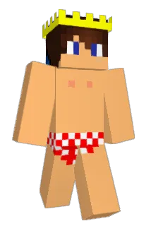 Andreasnedg Minecraft avatar full body