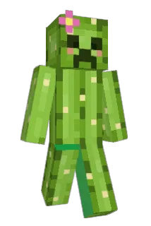 AndreeaBV Minecraft avatar full body