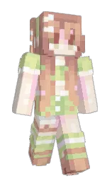 Custom render preview