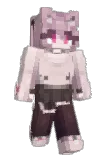 Andywii Minecraft avatar full body