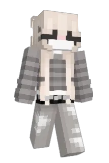 Ane201 Minecraft avatar full body