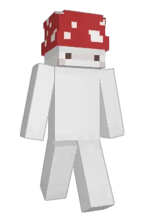 Aneammn Minecraft avatar full body