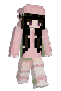 Anet31 Minecraft avatar full body