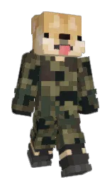 Custom render preview