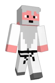 Angel_0K Minecraft avatar full body