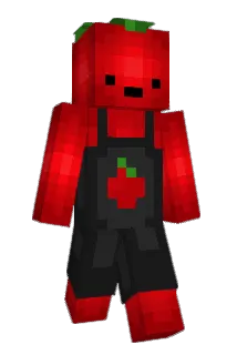 Angestral Minecraft avatar full body