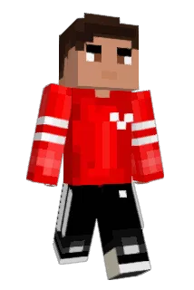 Anglesan Minecraft avatar full body