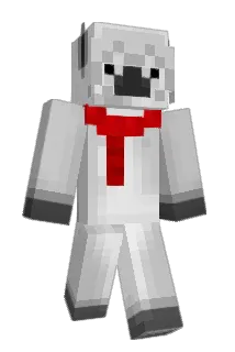 Angvs Minecraft avatar full body