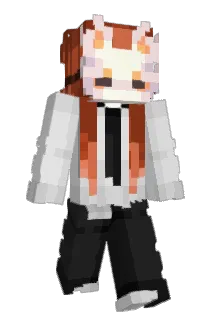 Anhang_ Minecraft avatar full body