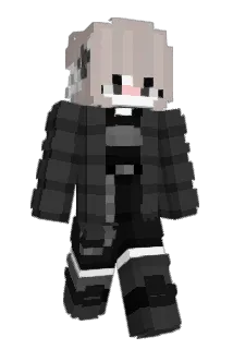 Anieake Minecraft avatar full body