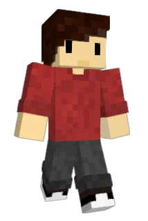 Animayzor Minecraft avatar full body