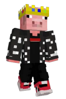 Animecrazyninja Minecraft avatar full body