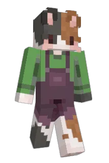 Animestorm4716 Minecraft avatar full body