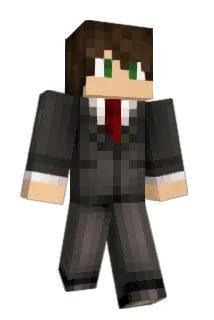 AnirudhC Minecraft avatar full body