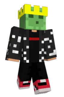 AnisNotProGamer Minecraft avatar full body