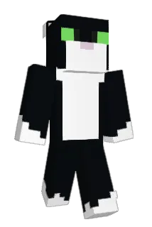 Anisacarp Minecraft avatar full body