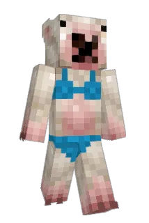 AnneBoef Minecraft avatar full body