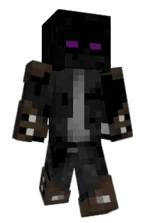 Anonim1384 Minecraft avatar full body