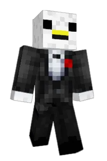 Anonymous__Llama Minecraft avatar full body