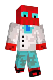 Anoracks Minecraft avatar full body