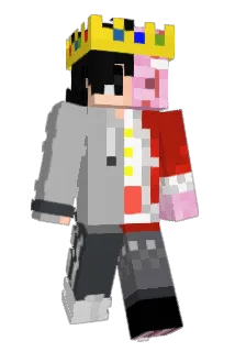 Anquilic Minecraft avatar full body