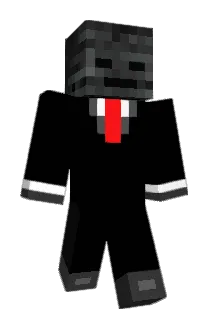 Anrdes7707 Minecraft avatar full body