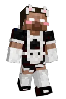 Anseowo Minecraft avatar full body