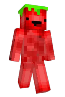 Antek2025 Minecraft avatar full body