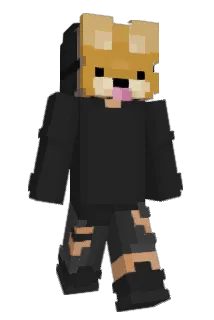 AntekRakieta Minecraft avatar full body