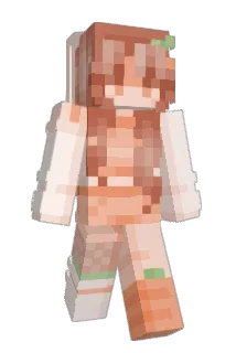 Anthoni67 Minecraft avatar full body