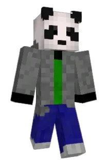Antimate11 Minecraft avatar full body