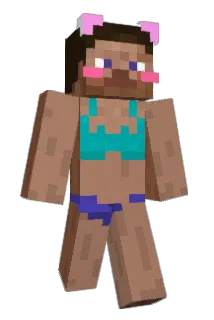 Antisimp Minecraft avatar full body