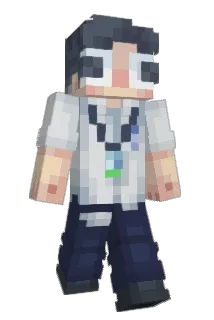 Antowbee Minecraft avatar full body
