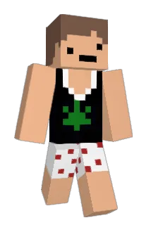 AntowwT1 Minecraft avatar full body