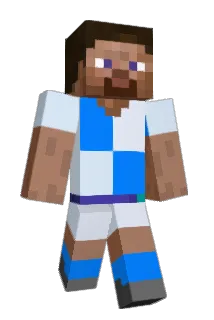 Anty9 Minecraft avatar full body