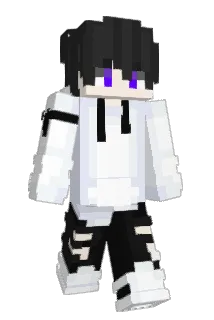 Anyfly Minecraft avatar full body
