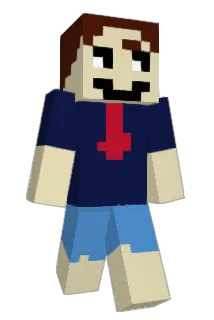 Anyjuanhome Minecraft avatar full body