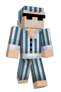 Anyonemate Minecraft avatar full body