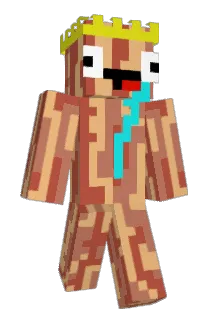 AnythingBac0n Minecraft avatar full body