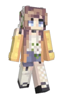 AnzeVink Minecraft avatar full body