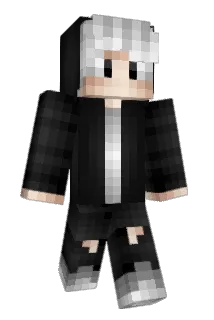 AoPo Minecraft avatar full body