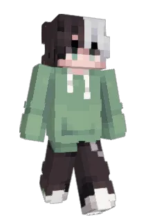 Aogou Minecraft avatar full body