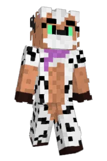 Aok9999 Minecraft avatar full body