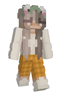 Aokqin Minecraft avatar full body