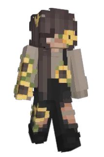 Aoks Minecraft avatar full body